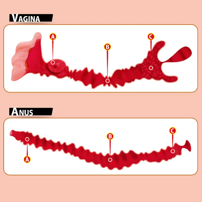 Kokos Dildos | Kokos Big Hip Adel 001-(m01-003-10d) Kokos Dildos | Kokos Big Hip Adel 001-(m01-003-10d)