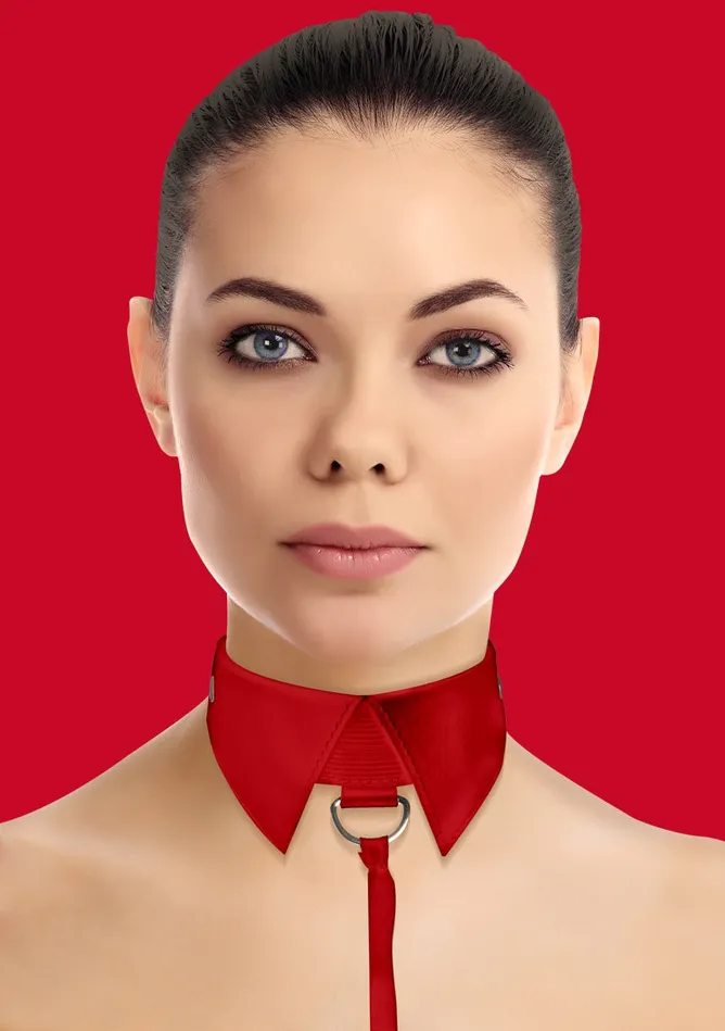 Shots Ouch Classic Collar with Leash Red Vibrators